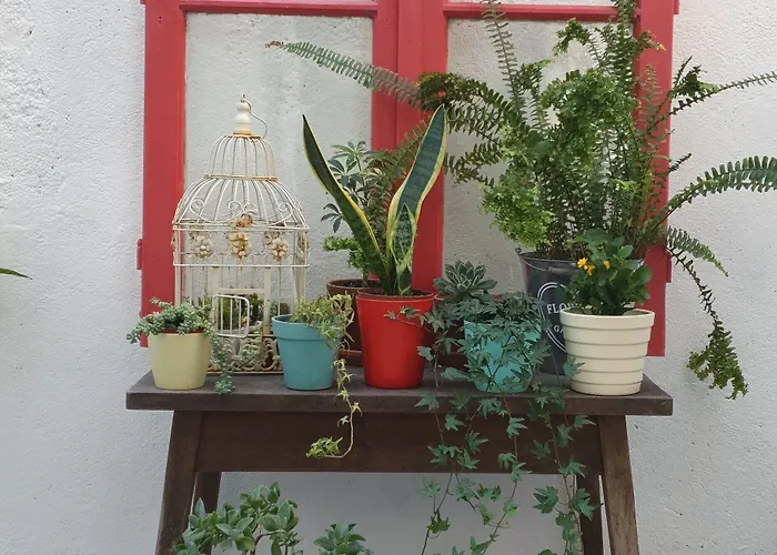 Bed & Breakfast Republica 3*